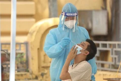 Lấy mẫu xét nghiệm COVID-19. (Ảnh: Minh Quyết/TTXVN) 