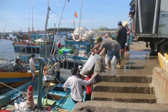 Ngư dân chuẩn bị đá lên tàu trước khi xuất bến ra khơi tại cảng cá Bến Lội-Bình Châu, Xuyên Mộc, Bà Rịa-Vũng Tàu. (Ảnh: Hoàng Nhị/TTXVN) 