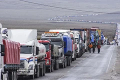 Các lái xe tải xếp hàng chờ xét nghiệm COVID-19 trên tuyến đường cao tốc Patacamya-Tambo, biên giới Chile và Bolivia. (Ảnh: AFP/TTXVN) 