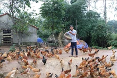 Nạn nhân bom mìn Lê Quang Ninh (sinh năm 1976), xã Phúc Trạch, huyện Bố Trạch, tỉnh Quảng Bình, trong lần đi kiếm phế liệu để bán lấy tiền năm 1993 đã cuốc phải bom bi nổ đứt bàn tay và mù mắt bên phải, cuộc sống gia đình gặp nhiều khó khăn và là hộ nghèo