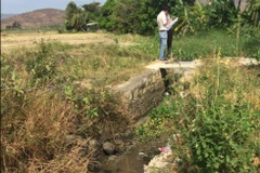 Cán bộ thủy lợi kiểm tra 1 kênh thủy lợi ở Bình Thuận. (Nguồn: thanhnien.vn) 