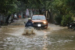 (Ảnh minh họa: Xuân Tiến/TTXVN) 