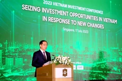 Bộ trưởng Ngoại giao Bùi Thanh Sơn phát biểu tại hội thảo. (Ảnh: TTXVN phát)