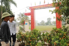 Đường vào xã Đồng Tâm. (Ảnh: Doãn Tấn/TTXVN) 