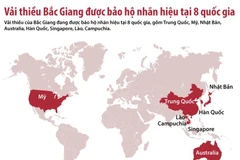 [Infographics] Danh sách các nước bảo hộ nhãn hiệu vải thiều Bắc Giang