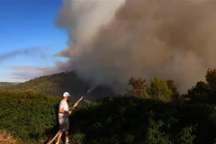 Người dân phun nước dập lửa đám cháy rừng ở làng Moshav Shoresh, ngoại ô Jerusalem ngày 15/8/2021. (Ảnh: AFP/TTXVN)