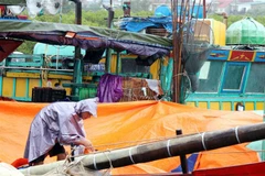 Người dân chằng chéo, che chắn tàu thuyền tránh mưa, bão. (Ảnh: Công Tường/TTXVN) 