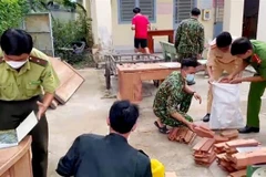 Tổ công tác kiểm đếm số giường và bàn gỗ bị tạm giữ. (Ảnh: TTXVN phát) 