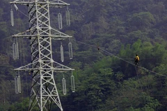 (Ảnh minh họa: Huy Hùng/TTXVN) 