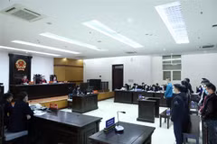 Quang cảnh phiên tòa phúc thẩm. (Ảnh: Phạm Kiên/TTXVN) 
