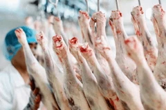 Ảnh minh họa. (Nguồn: beefcentral.com) 