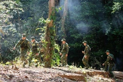 Bộ đội biên phòng Quảng Nam kết hợp công tác tuần tra bảo vệ đường biên với công tác phòng chống dịch. (Ảnh: Đoàn Hữu Trung/TTXVN) 
