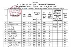 Điểm chuẩn trúng tuyển vào các trường THPT công lập thành phố Đà Nẵng. (Ảnh: TTXVN phát) 