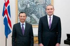 Đại sứ Lương Thanh Nghị trình Quốc thư lên Tổng thống Iceland Guðni Th. Jóhannesson. (Ảnh: TTXVN phát) 