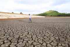 (Ảnh minh họa: Vũ Sinh/TTXVN) 