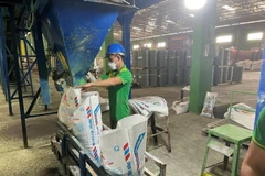 Một dây chuyền sản xuất phân bón chứa silic. (Nguồn: BNEWS/TTXVN)