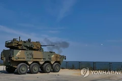 Ảnh minh họa. (Nguồn: Yonhap News) 