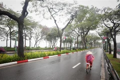 Ảnh minh họa. (Nguồn: TTXVN) 