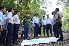 Đoàn công tác đi khảo sát thực tế tại huyện Hàm Thuận Nam. (Ảnh: Hồng Hiếu/TTXVN)