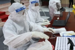 (Ảnh minh họa: Danh Lam/TTXVN) 