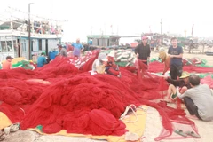 Quảng Trị có khoảng 2.200 tàu cá, trong đó có gần 200 tàu cá công suất lớn làm nghề khai thác thủy sản xa bờ. (Ảnh: Nguyên Lý/TTXVN)