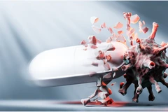 Ảnh minh họa. (Nguồn: suckhoedoisong.vn) 