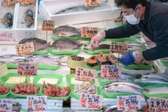 Một cửa hàng bán cá ở Tokyo, Nhật Bản. (Ảnh: AFP/TTXVN)