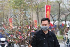 (Ảnh minh họa: Thanh Tùng/TTXVN) 