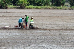 Nông dân xã Giục Tượng, huyện Châu Thành (Kiên Giang) gieo sạ vụ lúa Đông Xuân 2021-2022. (Ảnh: Lê Huy Hải/TTXVN) 