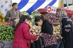 Ảnh minh họa. (Nguồn: AFP/TTXVN) 