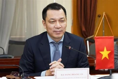 Thứ trưởng Bộ Công Thương Đặng Hoàng An. (Ảnh: Trần Việt/TTXVN) 