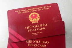 Ảnh minh họa. (Nguồn: baochinhphu.vn) 