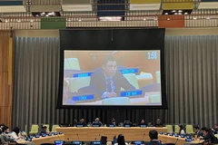 Việt Nam: Cần tăng cường hợp tác hỗ trợ các nước thu nhập trung bình