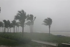 Mưa lớn kèm gió to tại biển Mỹ Khê, quận Sơn Trà, thành phố Đà Nẵng. (Ảnh: Văn Dũng/TTXVN)