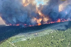 Khói bốc lên từ đám cháy rừng ở British Columbia, Canada ngày 29/6/2021. (Ảnh: AFP/TTXVN) 