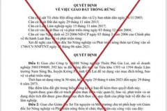 Làm rõ việc giả mạo Quyết định Chủ tịch UBND tỉnh Gia Lai về giao đất