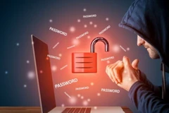 Tệp chứa dữ liệu có tên rockyou2024.txt đã được đăng trực tuyến trên một diễn đàn tin tặc phổ biến vào ngày 4/7. (Nguồn: Spiceworks)