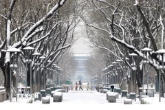 Ảnh minh họa. (Nguồn: TTXVN)