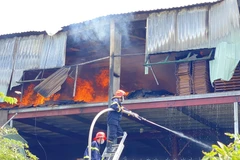 Lửa cháy dữ dội do có gió lớn. (Ảnh: Tường Quân/TTXVN) 