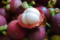 Măng cụt Lái Thiêu. (Nguồn: nongnghiep.vn) 