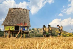 Hình ảnh nhà rông. (Ảnh: Thành Đạt/TTXVN) 