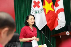 Chủ tịch Hội Chữ thập Đỏ Việt Nam Bùi Thị Hòa. (Ảnh: Thanh Tùng/TTXVN) 