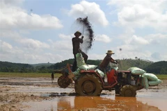 Người dân canh tác theo hướng hữu cơ, áp dụng tiến bộ khoa học kỹ thuật. (Nguồn: K GỬIH/TTXVN) 