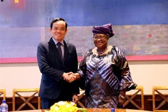 Phó Thủ tướng Trần Lưu Quang và Tổng Giám đốc WTO Okonjo-Iweala. (Ảnh: Tố Uyên/TTXVN) 