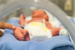 Ảnh minh họa. (Nguồn: PTI)