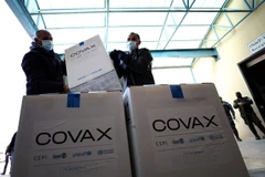 Vaccine ngừa COVID-19 được phân phối theo cơ chế COVAX tại làng Salem, phía Đông thành phố Nablus, Bờ Tây. (Ảnh: THX/TTXVN)