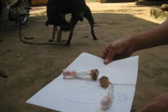 Bả chó người dân nhặt được. (Nguồn: tuoitre.vn)