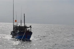 Một tàu cá Việt Nam. (Ảnh: TTXVN phát)