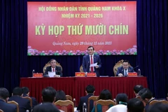 Quang cảnh kỳ họp. (Ảnh: Trần Tĩnh/TTXVN)