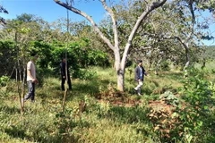 Đất canh tác bị ngập do dự án thủy điện: Người dân mỏi mòn chờ hỗ trợ